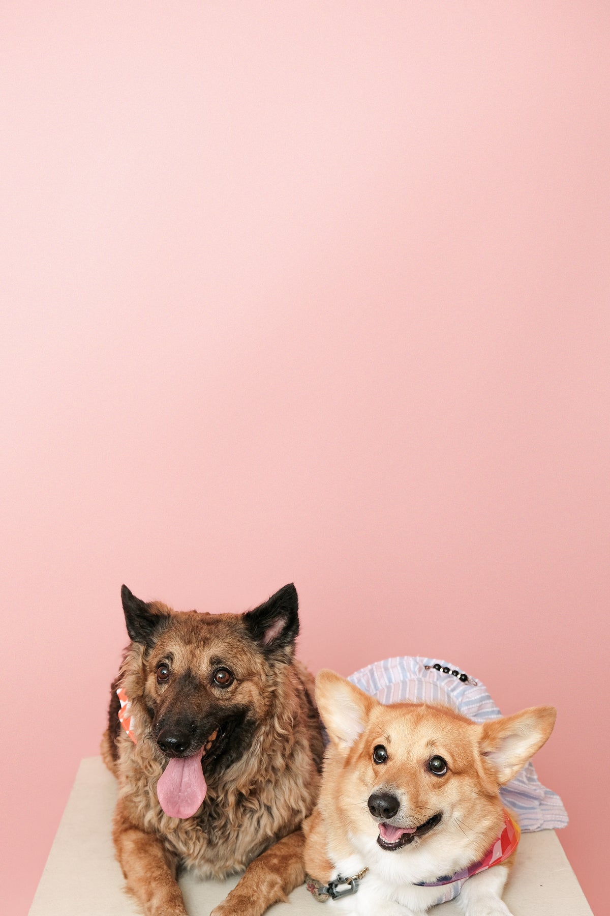 Sample photo