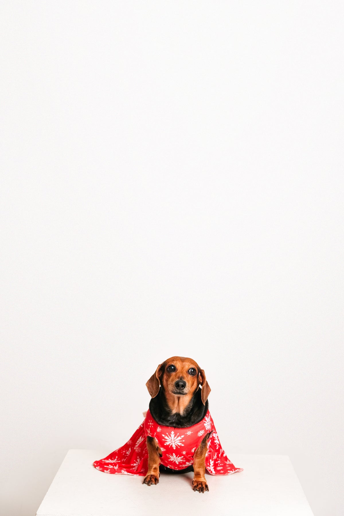 Sample photo