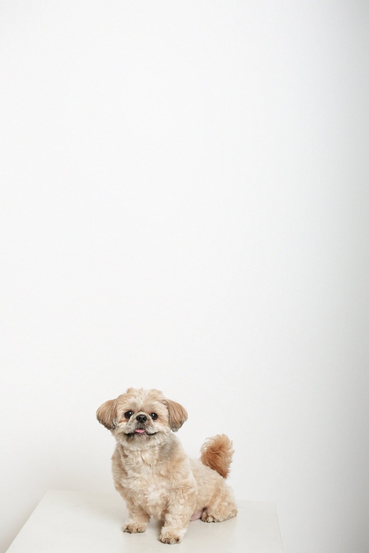 Sample photo