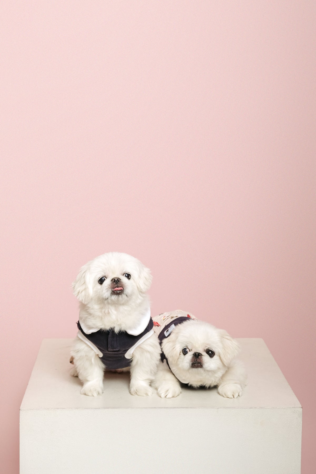 Sample photo