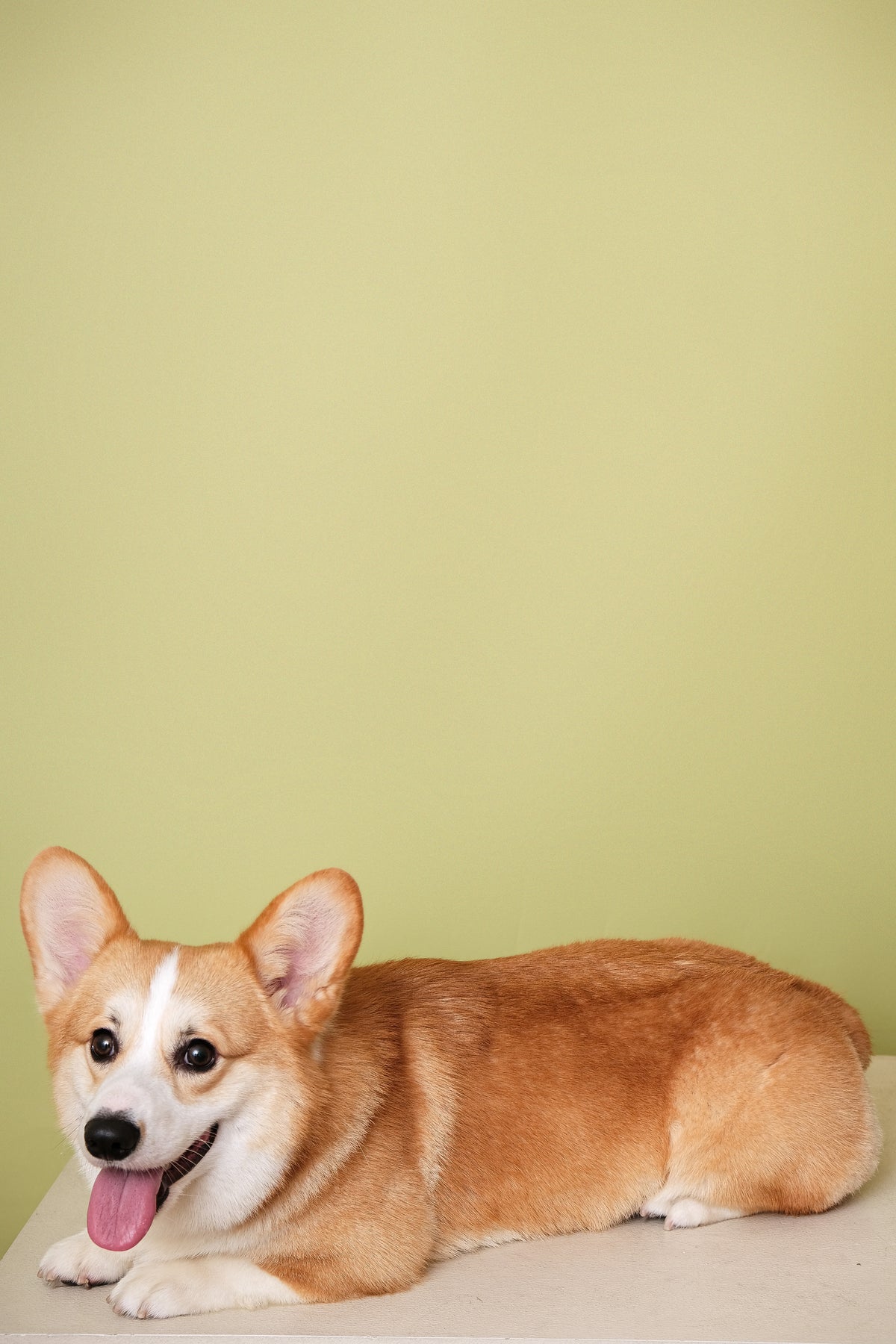 Sample photo