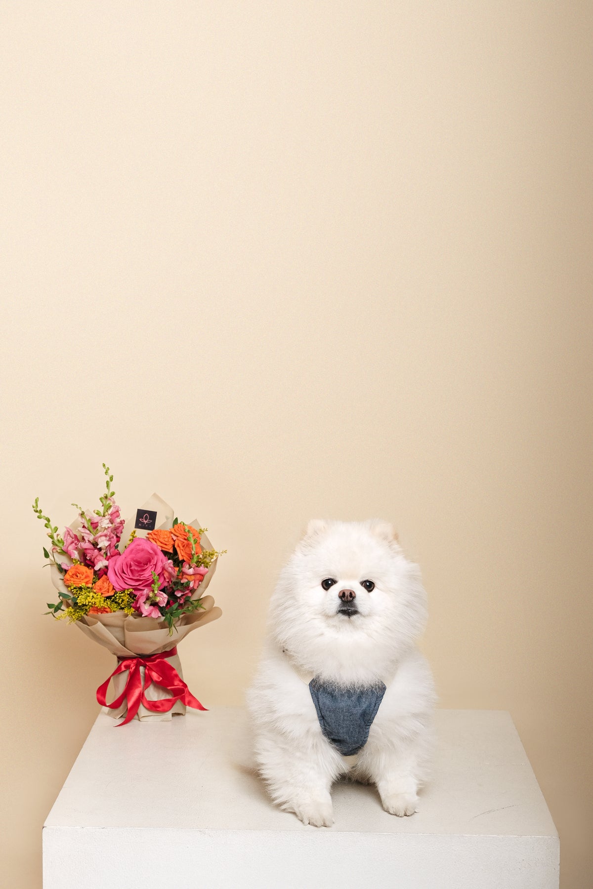 Sample photo